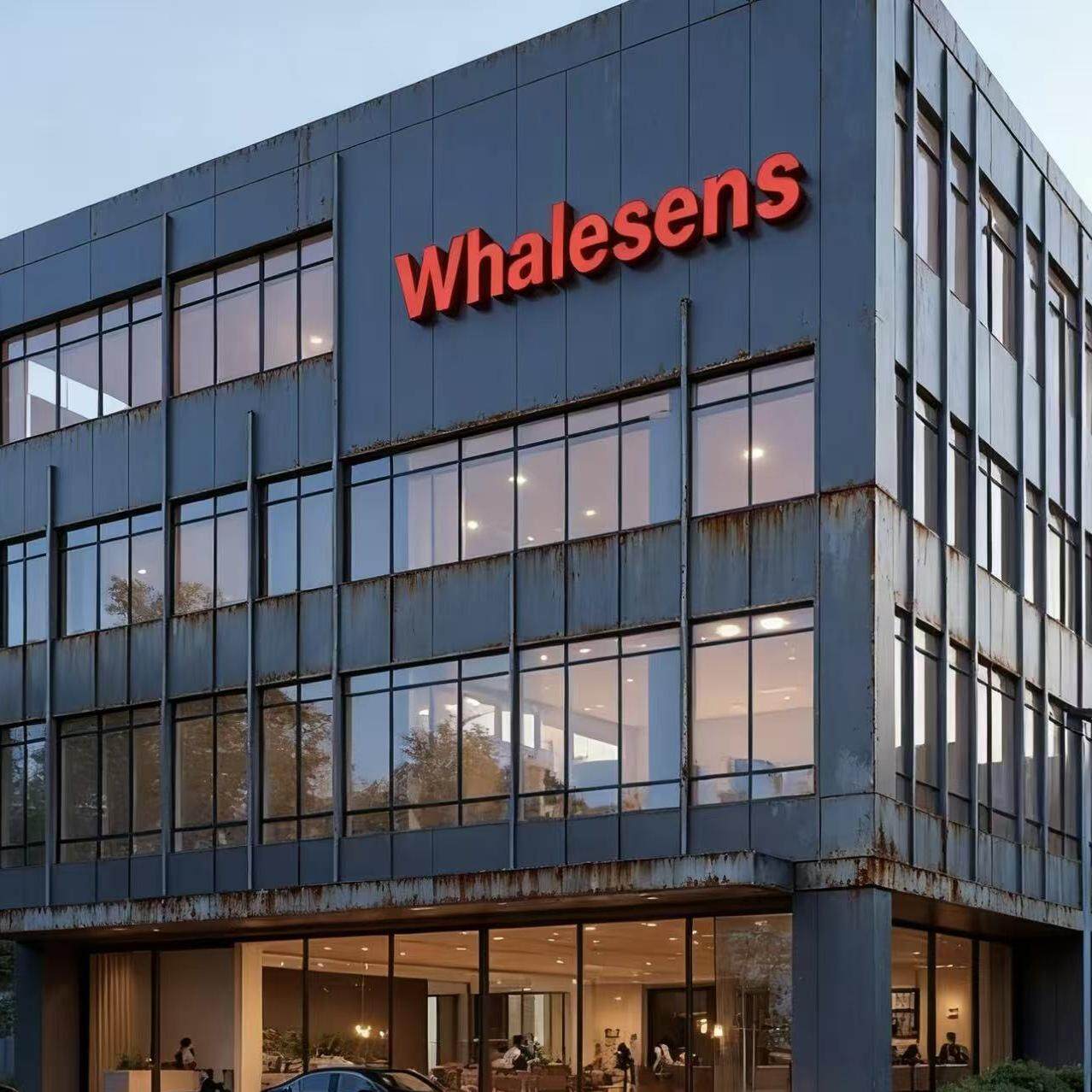 Whalesens Technology Co., Ltd. company overview - view 1