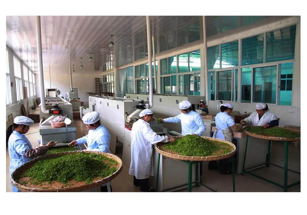 Puyang Aike Tea Co., Ltd. company overview - view 1
