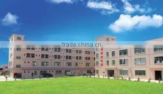 Zhongshan Ruicheng Home Electric Appliances Fittings Factory company overview - view 1