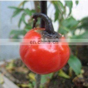 new commercial vegetable slicer dicer &vegetable cutter