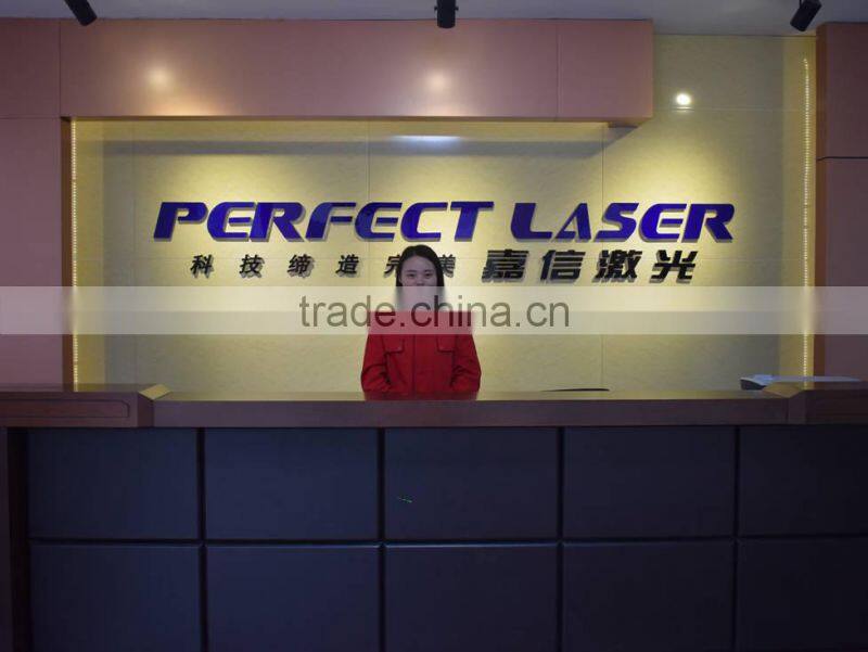 Perfect Laser (Wuhan) Co., Ltd. company overview - view 2