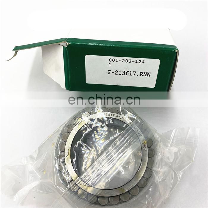 Reducer Hydraulic Pump Bearing F-202808 50*90*27mmCylindrical Roller Bearing F-202808.NUP F-202808.01.NUP