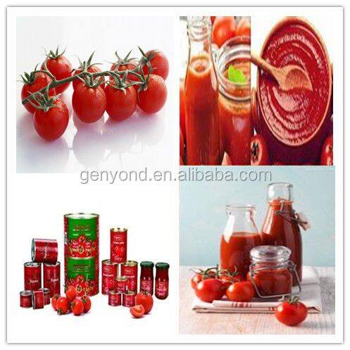 Canned Tomato Paste Processing Plant / Tomato Jam Production Line