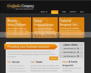 Web Care Media company overview - view 1