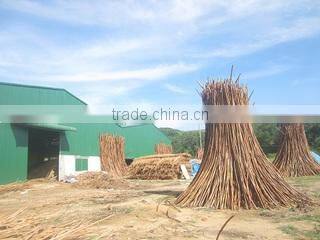 Luc Dong Construction And Trading Co., Ltd company overview - view 2