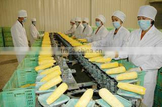 Qingdao Elites-United Foodstuff Co., Ltd. company overview - view 2