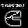 YZ Cummins Co.,Ltd company overview - view 1