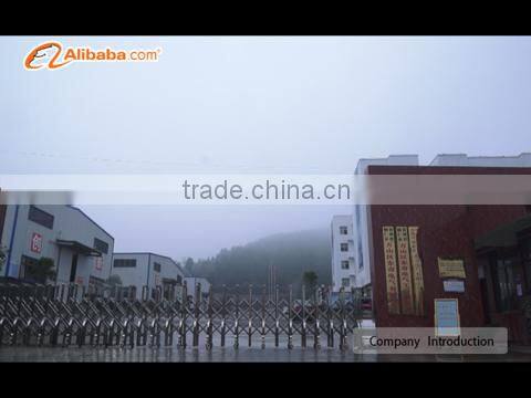 Guizhou Tongren Wanshan Dongqi Electrical Co., Ltd. company overview - view 1