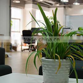 Shenzhen Nexqo Technology Co., Ltd. company overview - view 3