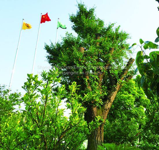 SUCCESS ENGINE factory-22