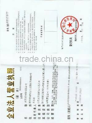 Business License