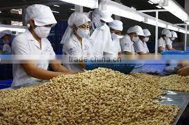 Vihagri Co., Ltd company overview - view 1