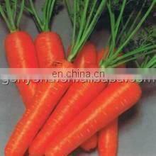 high quality industrial potato/radish/carrot peeling machine