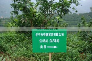 Jining Lord Trading Co., Ltd. company overview - view 2