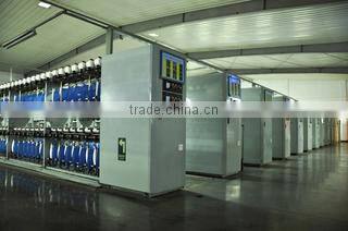 Jiangsu Hongfeng Thread Technology Co., Ltd. company overview - view 1