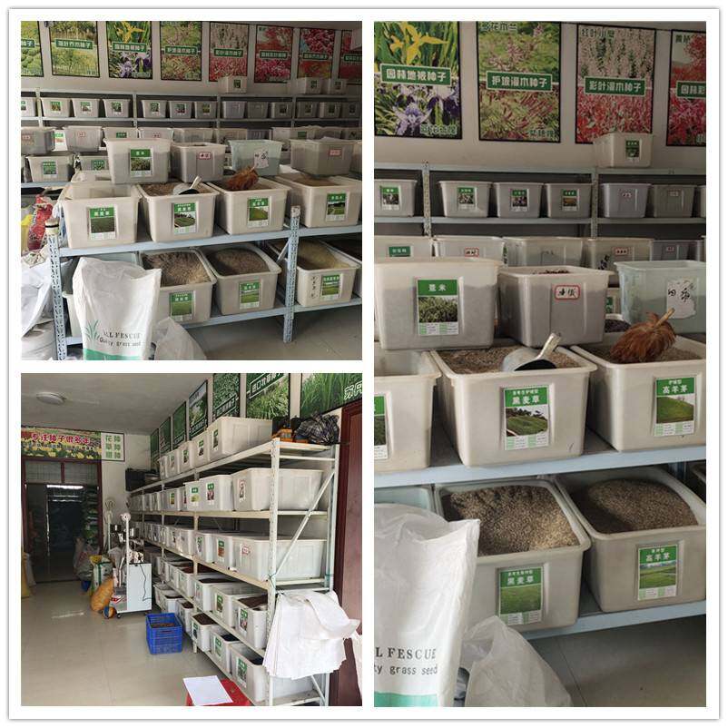 Suqian Dahuaidi Landscape Greening Co., Ltd. company overview - view 1