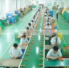 Shenzhen Multek Technology Limited company overview - view 3