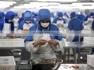 Qingdao LSXY Imp. & Exp. Co., Ltd. company overview - view 1