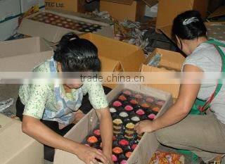 Delphinux Systems Co., Ltd. company overview - view 1