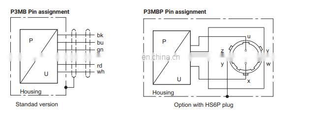 BlueLine High Pressure Measurement Transducer P3MBP/1000BAR