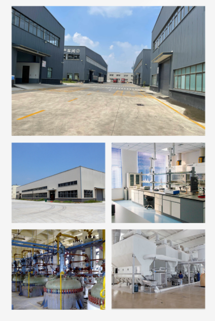 Shandong Honor New Material Co.,ltd company overview - view 1