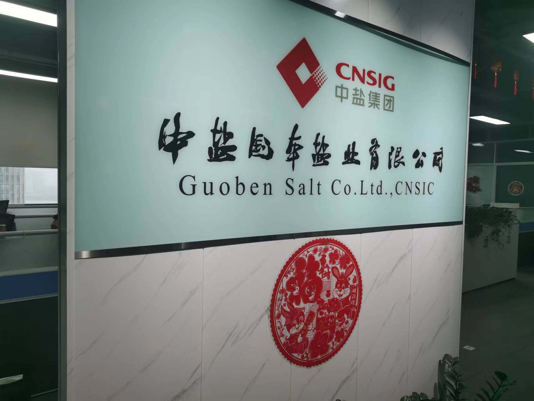 Guoben Salt Co.Ltd.,CNSIC company overview - view 1