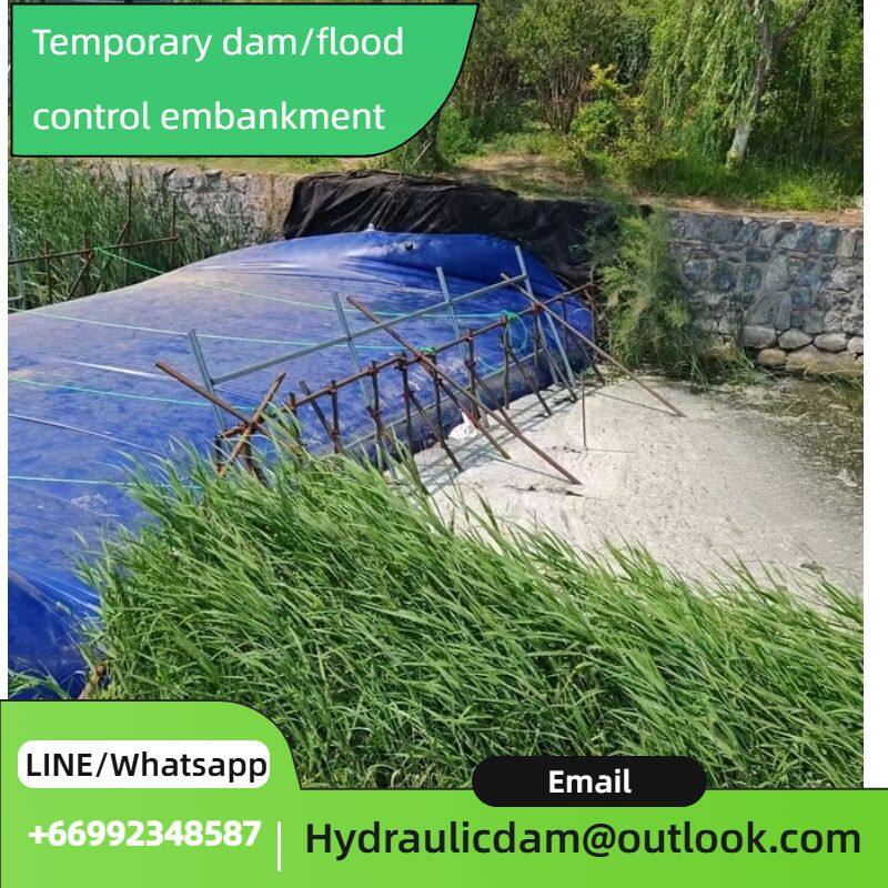 简约时尚风绿色宠物玩具电商主图 (6)