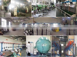 Shanghai Pozeen Technology Co., Ltd. company overview - view 1