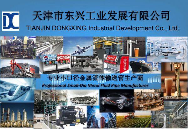 Tianjin DONGXING Industrial Development Co., Ltd. company overview - view 1