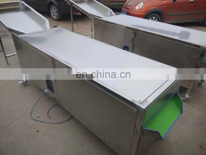 stainless steel fruit sorting machine for sale