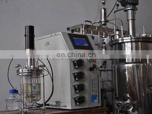 Fermentor Bioreactor with 50 Liter Volume and Boro Glass