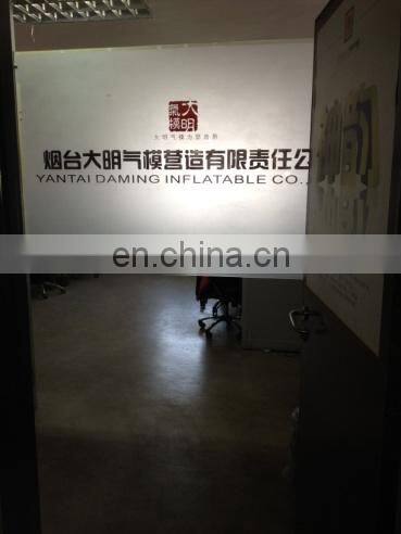Yantai Daming Inflatable Co., Ltd. company overview - view 2