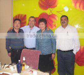 Tianjin Litai Shoes Co., Ltd. company overview - view 3