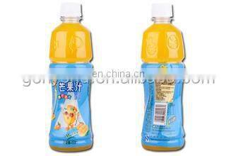 complete mango puree processing machines