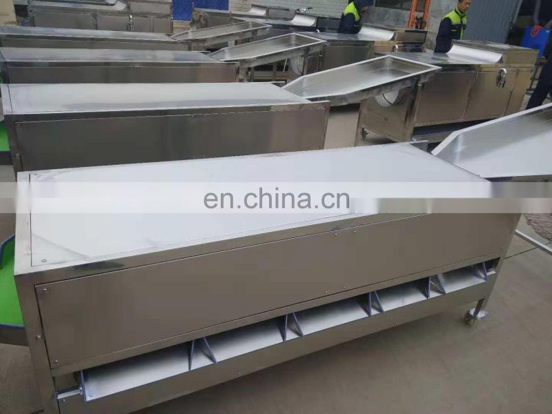 stainless steel fruit sorting machine for sale