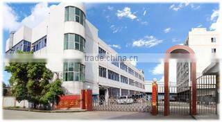 Wing Long Technology Company Limited company overview - view 1