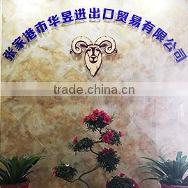 Zhangjiagang Huayu Import & Export Co., Ltd. company overview - view 1
