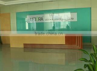 Shenzhen Ledora Lighting Co., Ltd. company overview - view 2