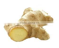 M D Exports company overview - view 3