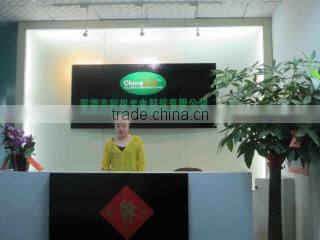 GGE Corp., Limited company overview - view 2