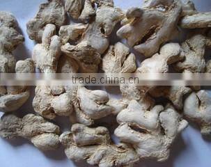 Linquan Global Foods Co., Ltd. company overview - view 3