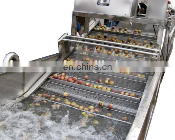 Vegetable Fruit Washing Machine/Vegetable cleaning machine/Stainless steel fruit washer