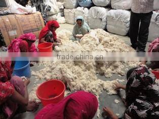 Dallas Clothing House company overview - view 3