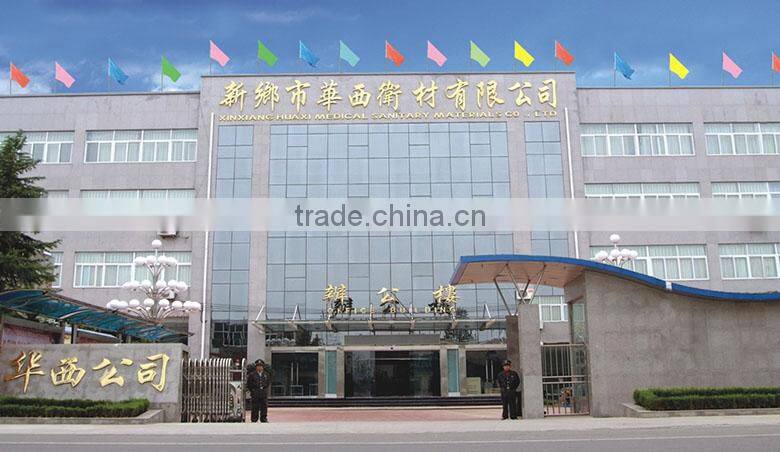 Xinxiang Huaxi Sanitary Materials Co., Ltd. company overview - view 4