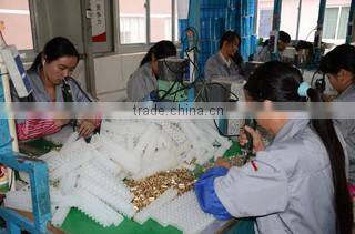 Zhejiang Jinghong Electric Co., Ltd. company overview - view 4