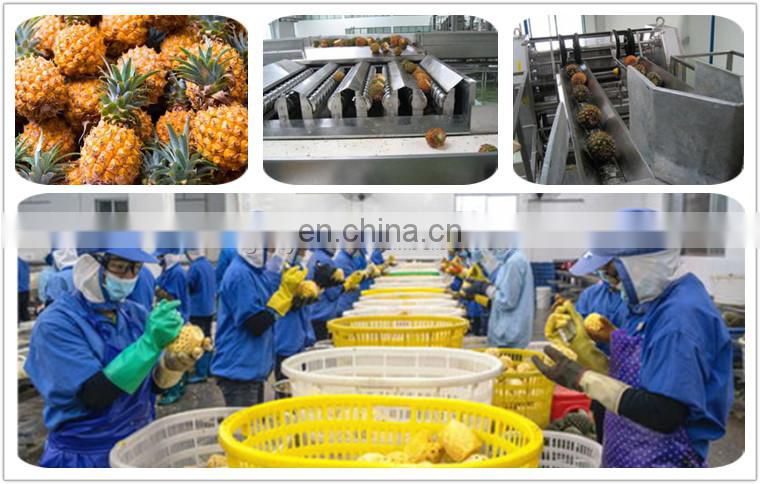 canned pineapple chunks production line