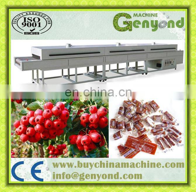 Shanghai factory Automatic Induction fruit roll up scraping forming making processing machine Fruit leather production line