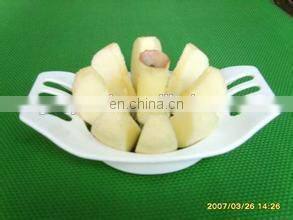 Automatic apple pear peeler corer slicer/stainless pear peeler/peeling machine in Fruit & Vegetable Processing Machines