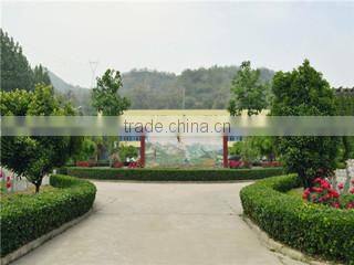 Gongyi Jinlonghengji Heavy Industry Machinery Co., Ltd. company overview - view 3