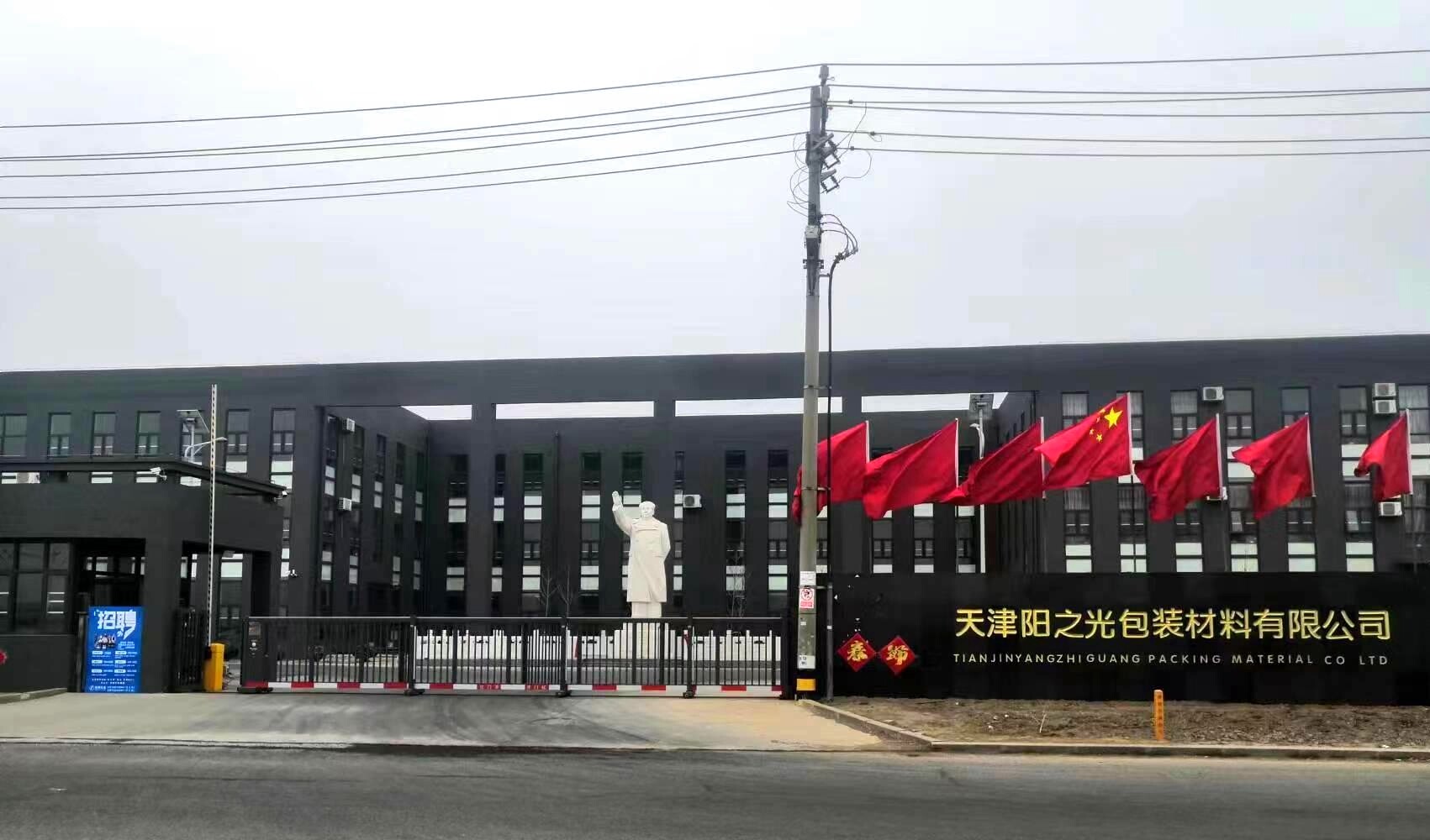 Hebei Yangzhiguang Packaging Materials Co., Ltd company overview - view 1